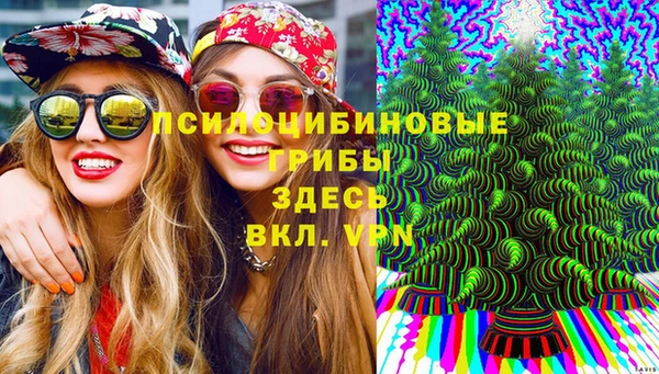 мяу мяу мука Алексин