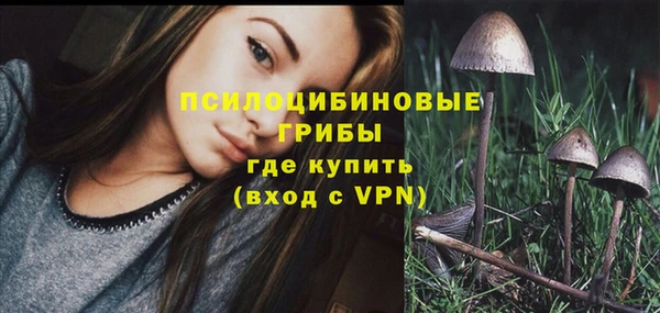 трава Инсар