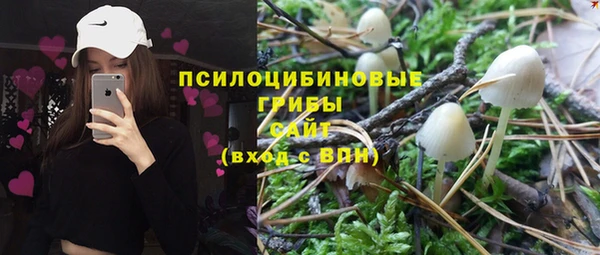 гашик Арсеньев