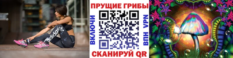 блэк спрут tor  купить наркотики цена  Певек  Галлюциногенные грибы MAGIC MUSHROOMS 